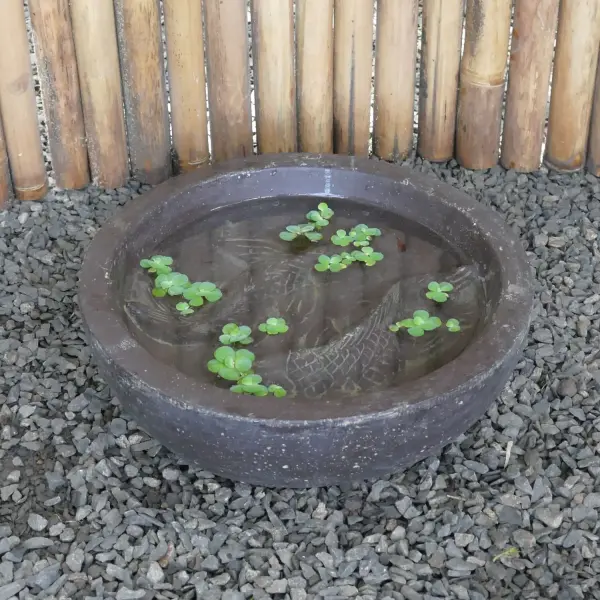 Product image 1 of the product “Waterbowl with 2 Fish, cast stone, handcrafted & coloured, in the diameter 40cm and 50cm, Antique finish ”